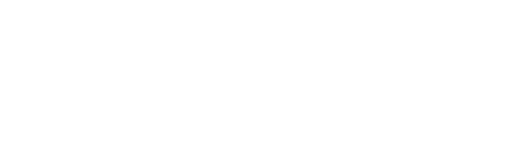 pw paddocks landscaping services logo upscaled white